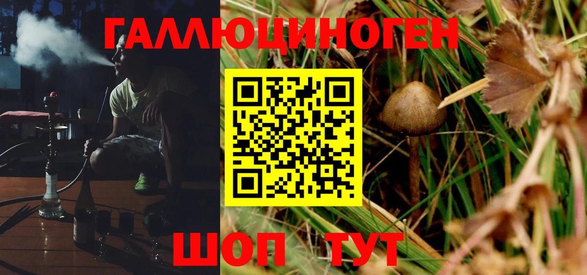 Галлюциногенные грибы Cubensis  Вход с VPN  Назарово 