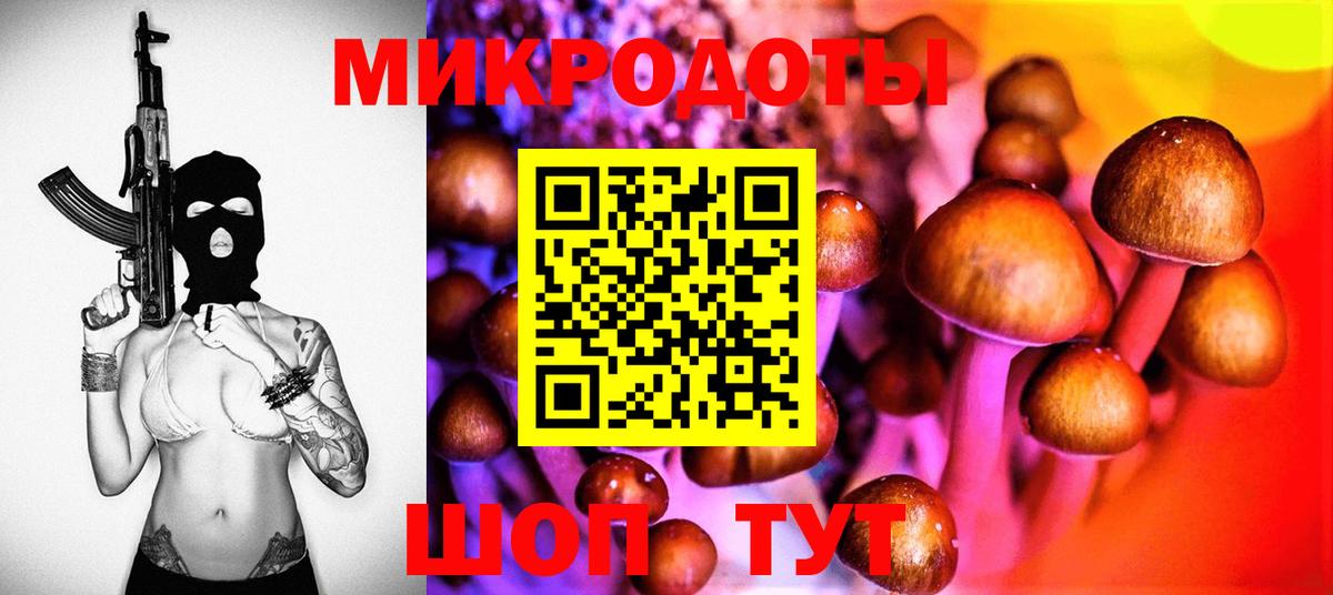 Псилоцибиновые грибы Psilocybine cubensis Назарово